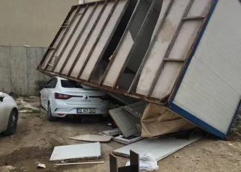 Lodos Bursa’yı vurdu! Ağaçlar kökünden söküldü