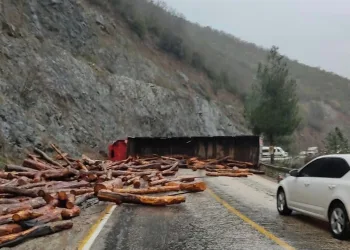 Bursa’da tomruk yüklü TIR devrildi, yol kapandı