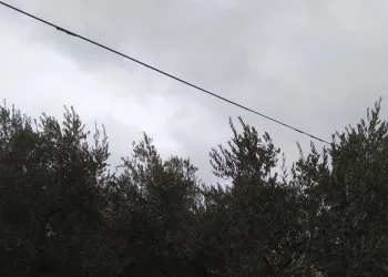 Bursa İznik’te hırsızların hedefi telefon kabloları oldu