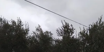 Bursa İznik’te hırsızların hedefi telefon kabloları oldu