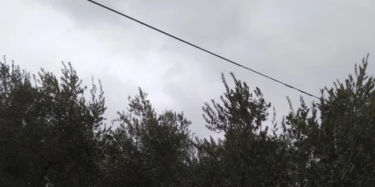Bursa İznik’te hırsızların hedefi telefon kabloları oldu