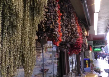 Kilosu 200 TL’ye çıktı