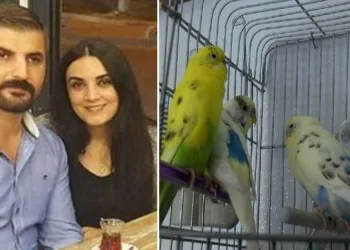 3 kişinin öldüğü faciada bir tek onlar canlı bulundu