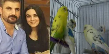 3 kişinin öldüğü faciada bir tek onlar canlı bulundu
