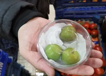 Tanesi 20, kilosu bin lira