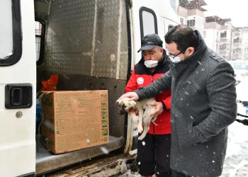 Mustafakemalpaşa’da can dostları için seferberlik