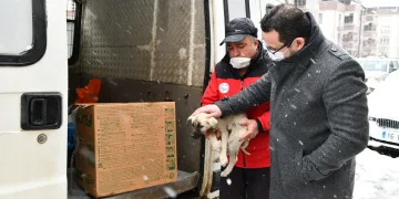 Mustafakemalpaşa’da can dostları için seferberlik