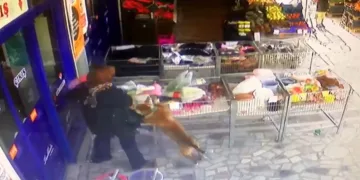 Pitbull dehşeti! 2,5 yaşındaki kıza saldırdı