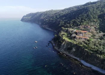 Bursa’da 900 yıllık tarihi yapı talan edildi