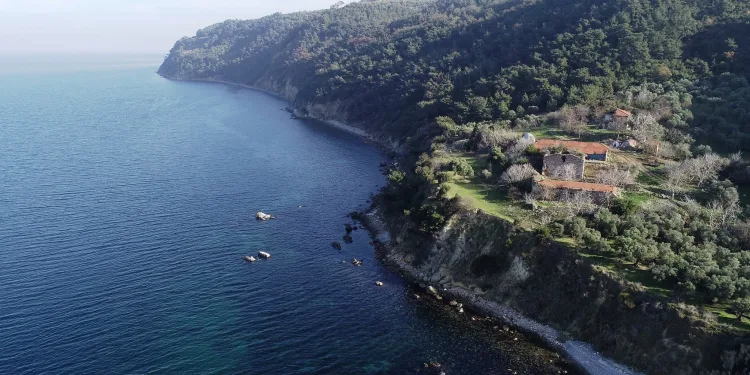 Bursa’da 900 yıllık tarihi yapı talan edildi