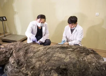 40 bin yıldır bozulmadan keşfedildi