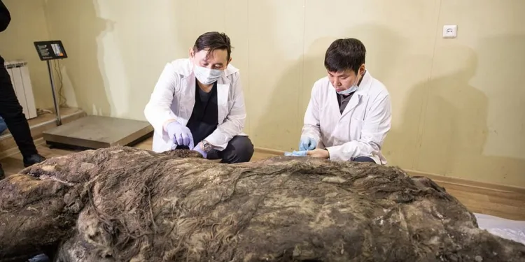 40 bin yıldır bozulmadan keşfedildi