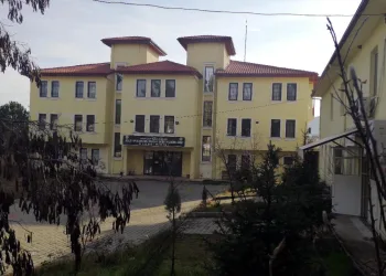 Sahte alkol 2 can aldı