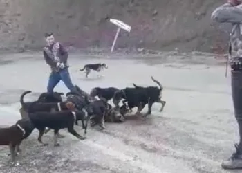 Köpeklere parçalatıp gülerek izlediler