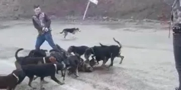 Köpeklere parçalatıp gülerek izlediler