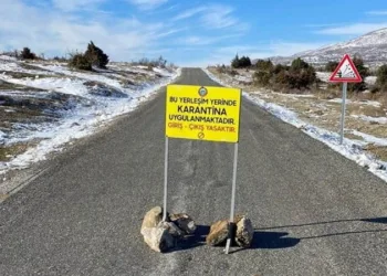 Türkiye’de vaka sayısındaki artışta mutasyon etkisi