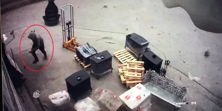 Bursa’da lodosun yıkıcı etkisinin yeni görüntüleri ortaya çıktı