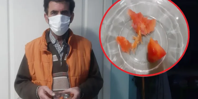 Kestiği domates eline battı! Gördüklerine anlam veremedi