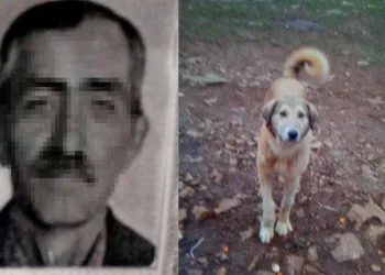 Fazla ekmek yiyor diye köpeğini öldürdü