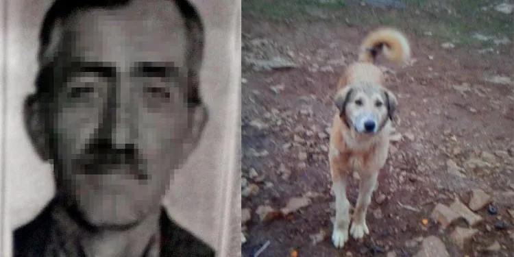 Fazla ekmek yiyor diye köpeğini öldürdü