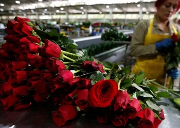 İçişleri Bakanlığı’ndan Sevgililer Günü genelgesi