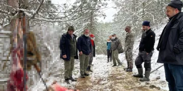 Hamile karacanın derisini yüzerken yakalandılar