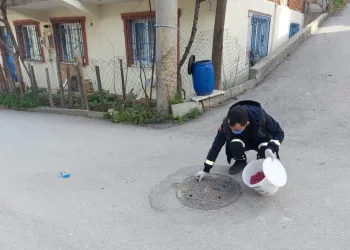 Osmangazi’de haşerelere karşı ilçe genelinde ilaçlama