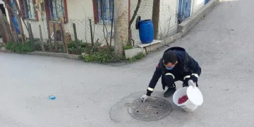 Osmangazi’de haşerelere karşı ilçe genelinde ilaçlama