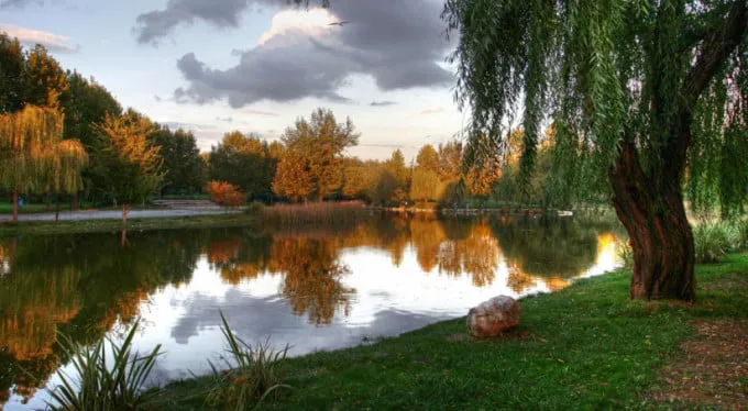 Botanik Park 15 gün kapatılıyor