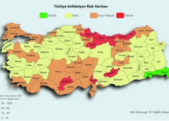 Normalleşmeye en yakın 30 il
