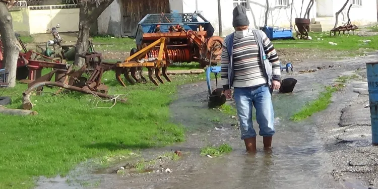 Köyün her yerinden su çıkıyor
