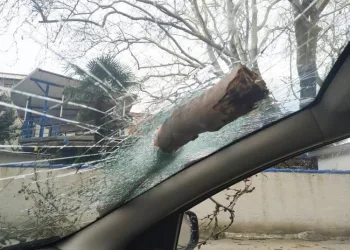 Otomobilin camına ok gibi saplandı! Ölümden döndü