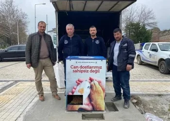 İznik’te sokak hayvanları için ameliyathanesi son sistem barınak