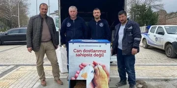 İznik’te sokak hayvanları için ameliyathanesi son sistem barınak