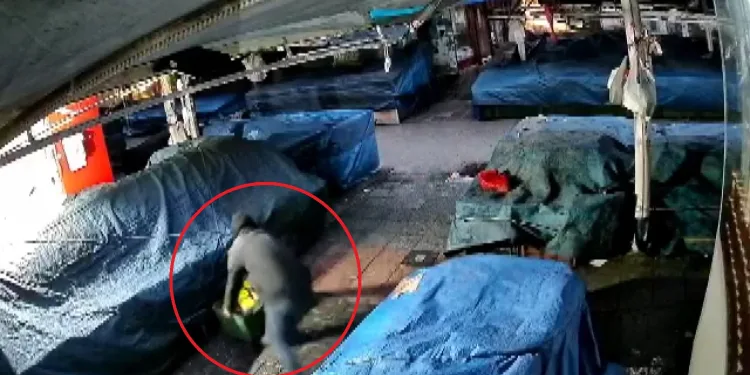 Bursa’da tarihi çarşıda peynir hırsızlığı