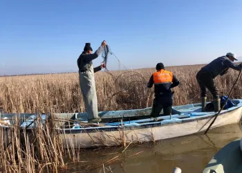 Bursa’da kullanılması yasak 6 bin 500 metre pinter ele geçirildi