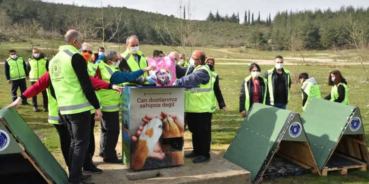 Sokak hayvanları için 250 adet kulübe