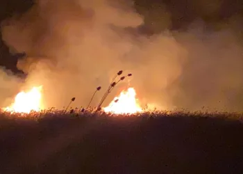 İznik’te sazlıklarda ikinci yangın