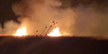 İznik’te sazlıklarda ikinci yangın