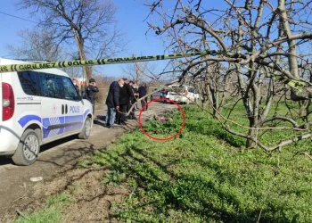 Bursa’da ceset paniği! Yoldan geçen vatandaşlar buldu