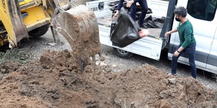 Bursa’da çiftlikte kaçak et baskını!