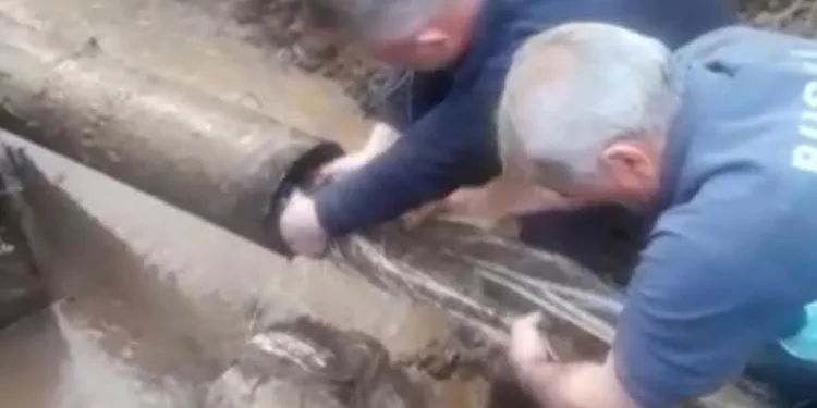 İçme suyu borusundan çıkanı görenler şaşkına uğradı