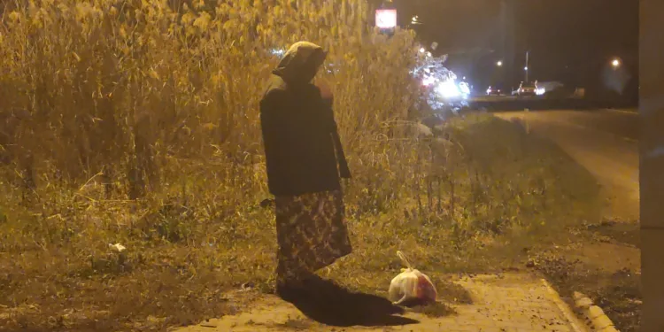 Evsiz yaşlı kadına polis ve belediye sahip çıktı