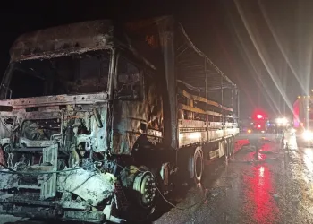 Bursa’da kimyasal yüklü TIR alevlere teslim oldu