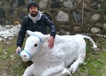2,5 saatte yaptı… Görenler gerçek sanıyor