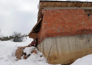 Bursa’da 30 büyükbaş hayvan son anda kurtarıldı