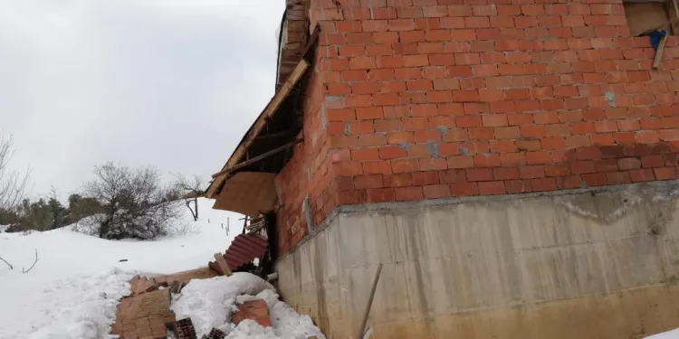 Bursa’da 30 büyükbaş hayvan son anda kurtarıldı
