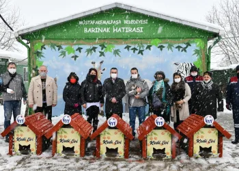 Mustafakemalpaşa kedi evleriyle donatıldı