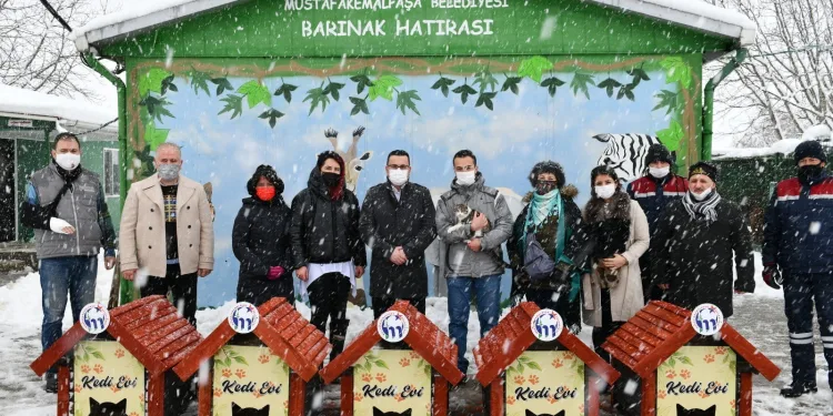 Mustafakemalpaşa kedi evleriyle donatıldı