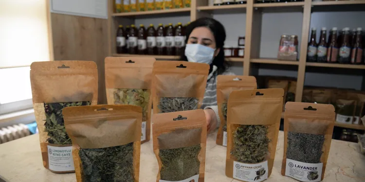 Üniversitenin bitki çaylarına yoğun talep